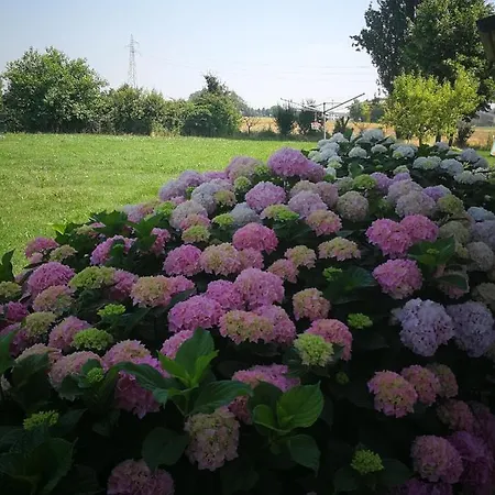 Holiday home Corte Ventaglio Campitello (Mantova)